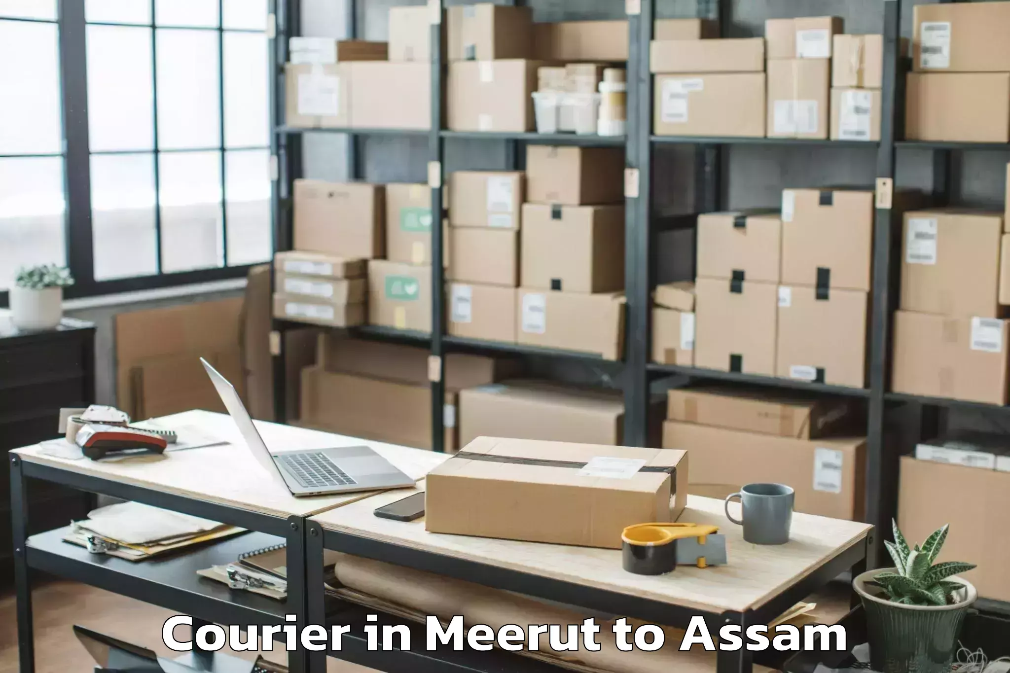 Book Meerut to Kharupetia Courier Online